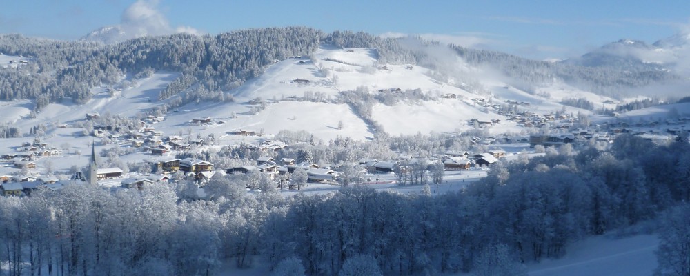 alpenhof niederau