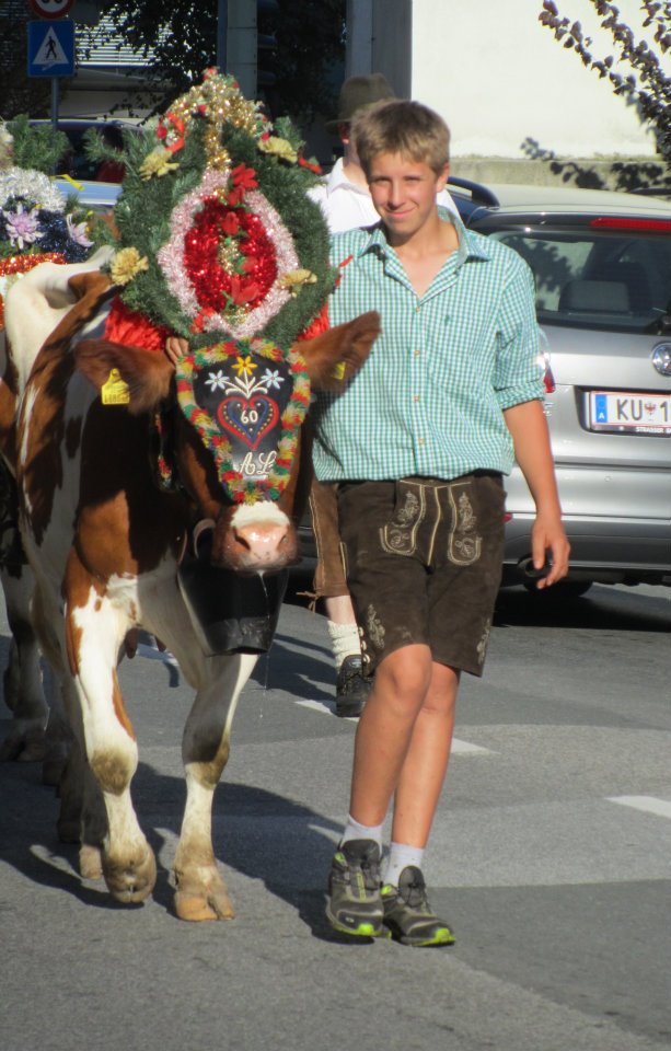 Alpenhof historisch